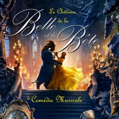 Le Château De La Belle Et La Bête